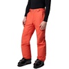image:imageColumbia Mens Bugaboo V PantZing