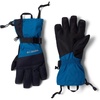 Phoenix Blue/Black