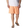 image:imageColumbia Mens Backcast Iii Water ShortBright Nectar