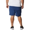image:imageColumbia Mens Permit III Sun Protection ShortsCarbon