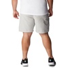image:imageColumbia Sportswear Mens Brewha II ShortsCool Grey