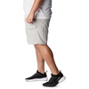 image:imageColumbia Sportswear Mens Brewha II ShortsCool Grey