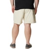 image:imageColumbia Sportswear Mens Brewha II ShortsStone