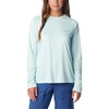 Icy Morn/Canyon Blue Logo
