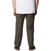 image:imageColumbia Mens Flex ROC PantAlpine Tundra