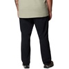 image:imageColumbia Mens Landroamer Ripstop Pant IIBlack