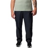 image:imageColumbia Mens Rebel Roamer II PantBlack