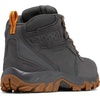 image:imageColumbia Newton Ridge Plus II Suede WaterproofDark GreyGold Amber