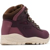image:imageColumbia Womens Newton Ridge Plus Waterproof Hiking BootsMoonvistaAntique Mauve