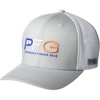 Cool Grey/Vivid Blue/Pfg Hook