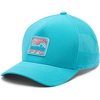Ocean Teal/Boat Waves Graphic