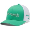 Electric Turquoise/Cool Grey/Hook
