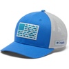 Vivid Blue/Cool Grey/Us Fish Flag