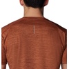 image:imageColumbia Alpine Chill Zero ShortsAuburn Heather