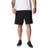 image:imageColumbia Alpine Chill Zero ShortsBlack