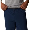 image:imageColumbia Alpine Chill Zero ShortsCollegiate Navy