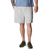 image:imageColumbia Alpine Chill Zero ShortsColumbia Grey