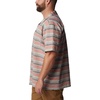 image:imageColumbia Mens Pine Canyon Short SleeveHiking ShirtSpicy Stripe