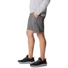image:imageColumbia Mens Silver Ridge Cargo ShortCity Grey
