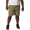 image:imageColumbia Mens Silver Ridge Cargo ShortStone Green