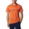 Desert Orange