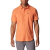 Desert Orange