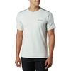 Cool Grey (Legacy Color Code 019)