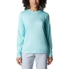 Gulf Stream/Fish and Friends Flag Ombre
