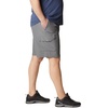 image:imageColumbia Mens Eaglecrest ShortCity Grey