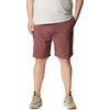 image:imageColumbia Mens Eaglecrest ShortLight Raisin
