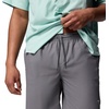image:imageColumbia Mens PFG Ramble Quick Dry Swim ShortCity Grey