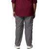 image:imageColumbia Mens Silver Ridge Utility Convertible Hiking PantsCity Grey