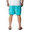 image:imageColumbia Mens Summerdry Brief ShortBright Aqua