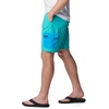 image:imageColumbia Mens Summerdry Brief ShortBright Aqua