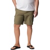 image:imageColumbia Mens Summerdry Brief ShortStone Green