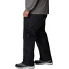 image:imageColumbia Rebel Roamer PantBlack F21