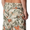 image:imageColumbia Summerdry ShortsAncient Fossil Floriculture