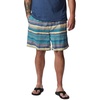 image:imageColumbia Summerdry ShortsBluestone Horizons Stripe Multi