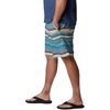 image:imageColumbia Summerdry ShortsBluestone Horizons Stripe Multi
