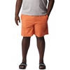 image:imageColumbia Summerdry ShortsDesert Orange