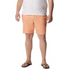 image:imageColumbia Summertide Stretch ShortsApricot Fizz
