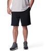 image:imageColumbia Tech Trail ShortsBlack