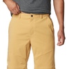 image:imageColumbia Tech Trail ShortsLight Camel