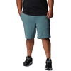 image:imageColumbia Tech Trail ShortsMetal