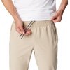 image:imageColumbia Terminal Roamer Stretch PantsAncient Fossil