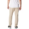 image:imageColumbia Terminal Roamer Stretch PantsAncient Fossil