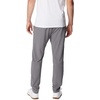 image:imageColumbia Terminal Roamer Stretch PantsCity Grey