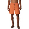 Desert Orange