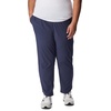 image:imageColumbia Womens Columbia Hike PantNocturnal