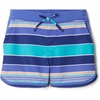 Dark Sapphire Danby Stripe/Purple Lotus